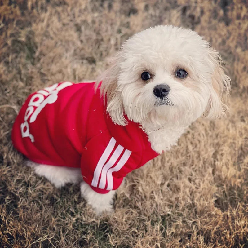 Roupinha raças pequenas Roupinha Pet De Moletom Poliéster Adidog Com Capuz Para cachorros